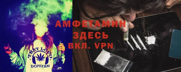 гашик Ельня