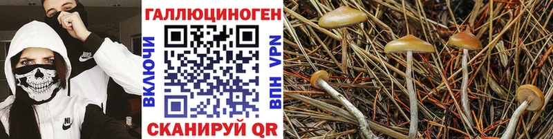 Псилоцибиновые грибы Magic Shrooms  Лесозаводск 